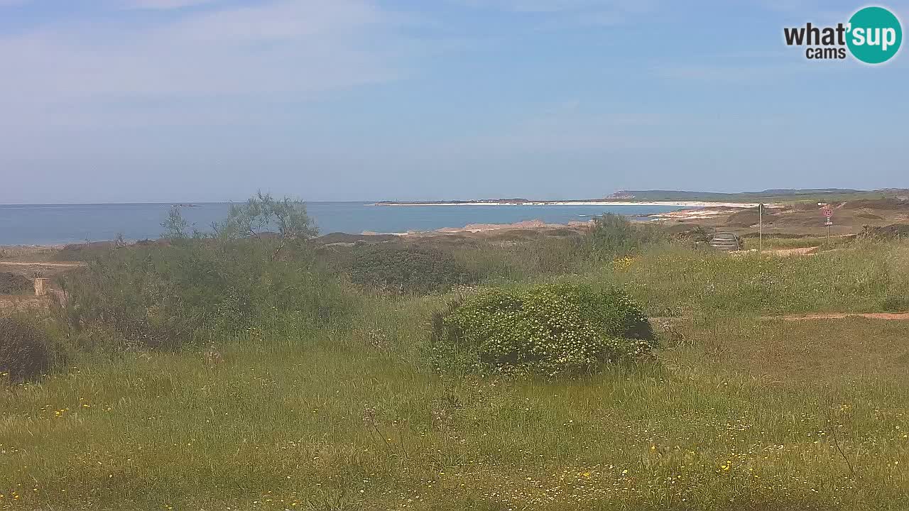 Spiaggia Mari Ermi | Is Arutas – Oristano