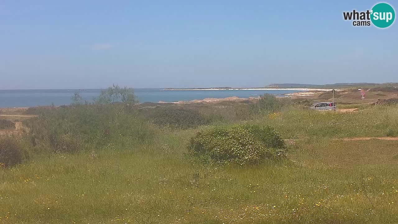 Plage Mari Ermi | Is Arutas – Oristano