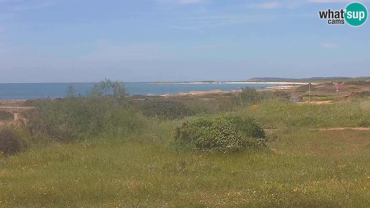 Plage Mari Ermi | Is Arutas – Oristano