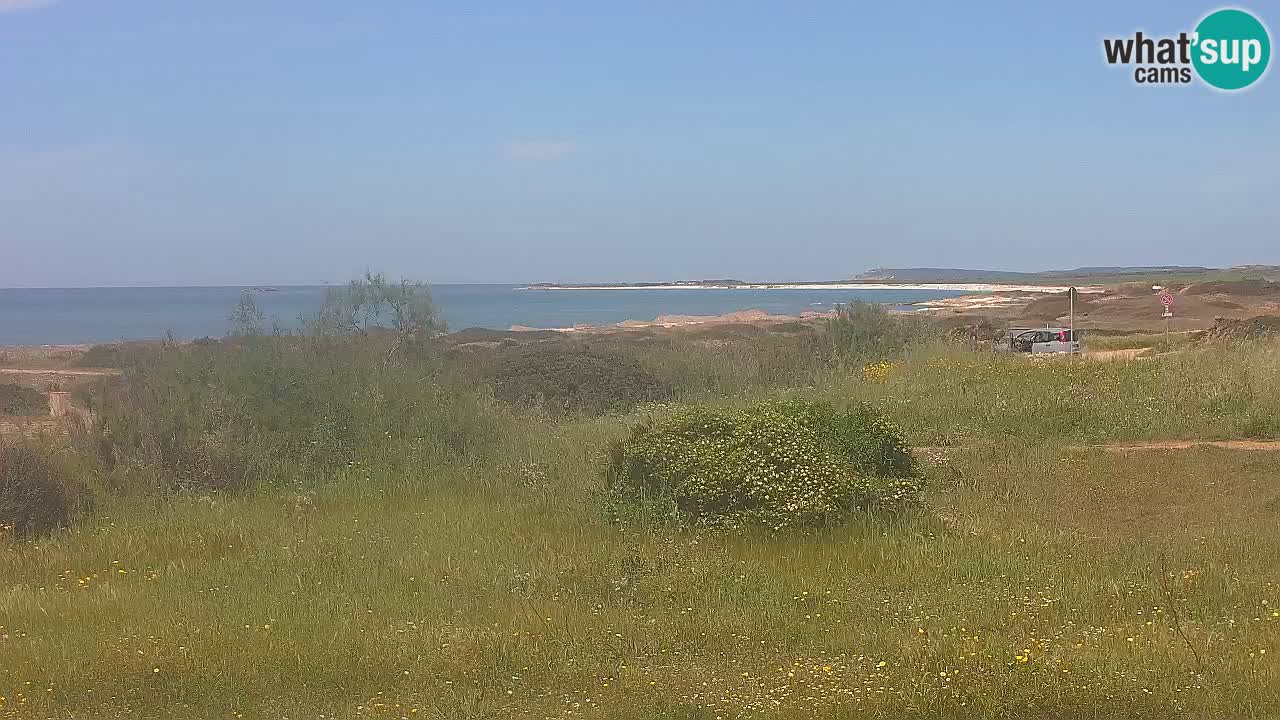 Plaža Mari Ermi | Is Arutas – Oristano