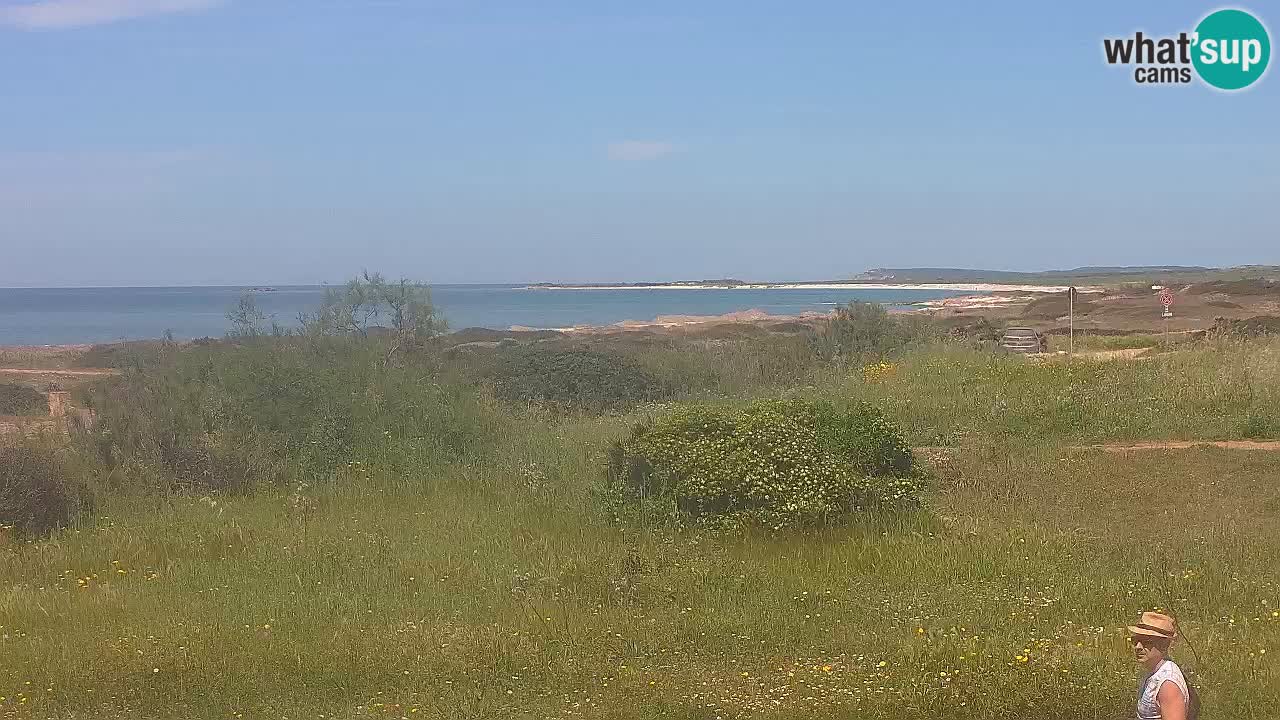 Plaža Mari Ermi | Is Arutas – Oristano