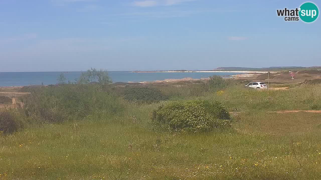 Plaža Mari Ermi | Is Arutas – Oristano