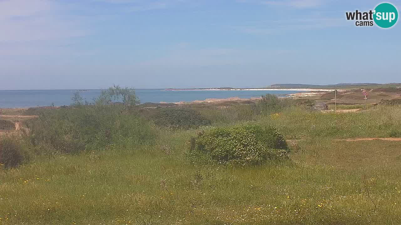 Plaža Mari Ermi | Is Arutas – Oristano