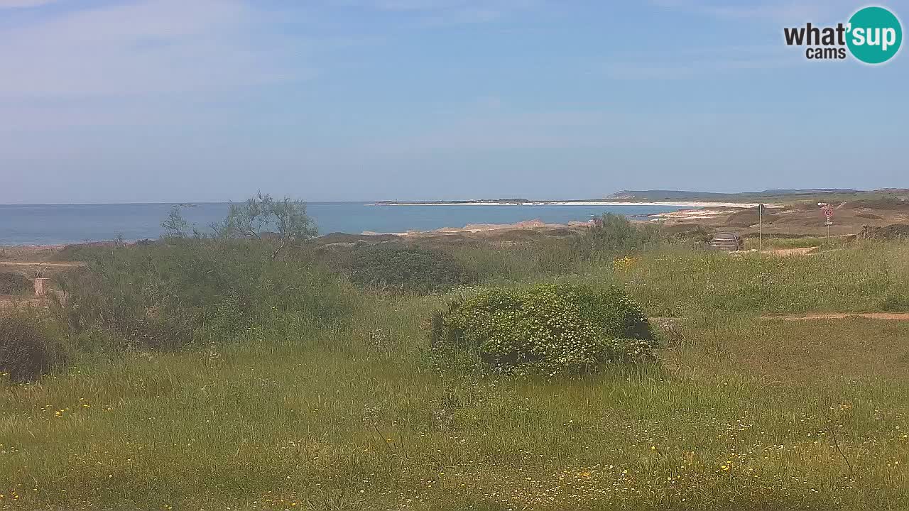 Spiaggia Mari Ermi | Is Arutas – Oristano