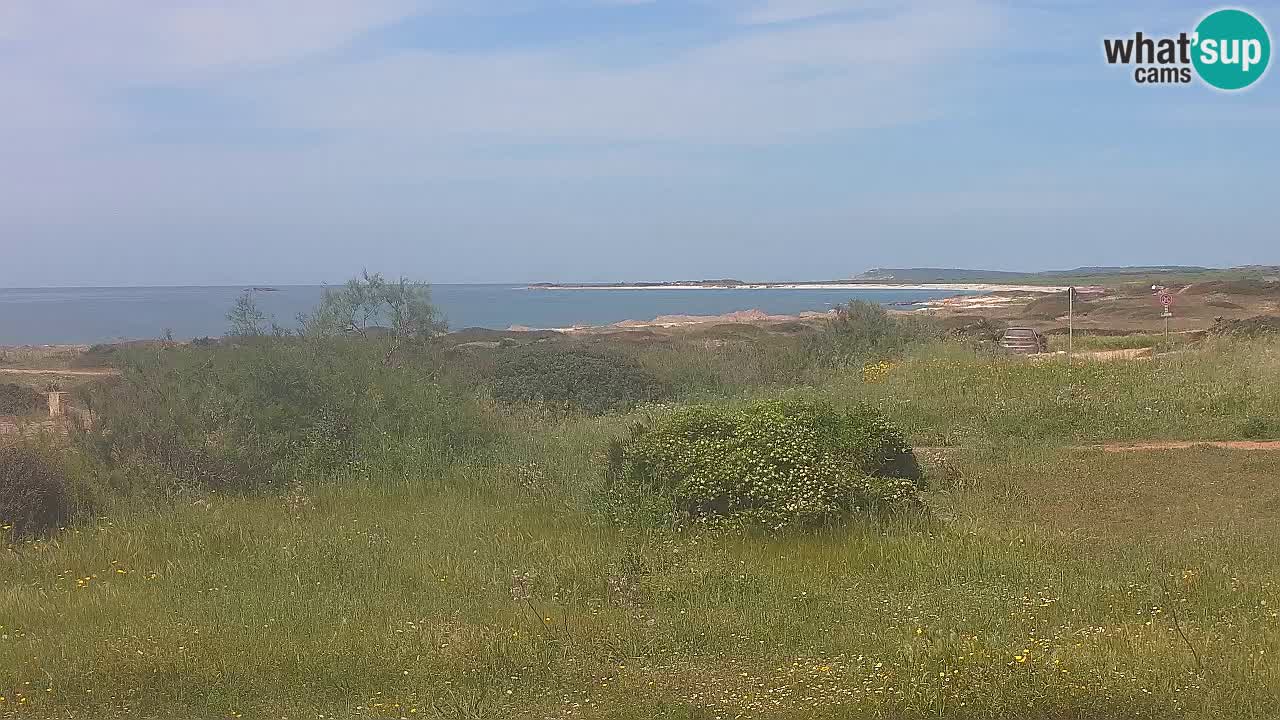 Spiaggia Mari Ermi | Is Arutas – Oristano