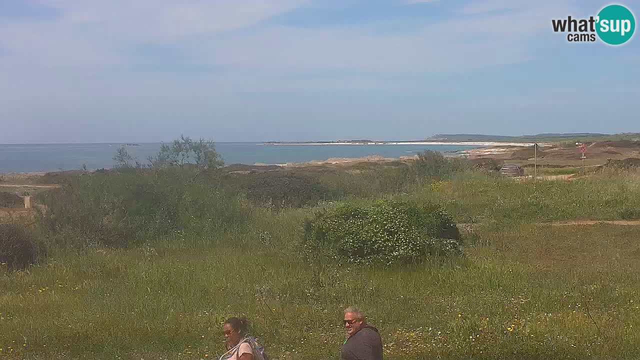 Plage Mari Ermi | Is Arutas – Oristano