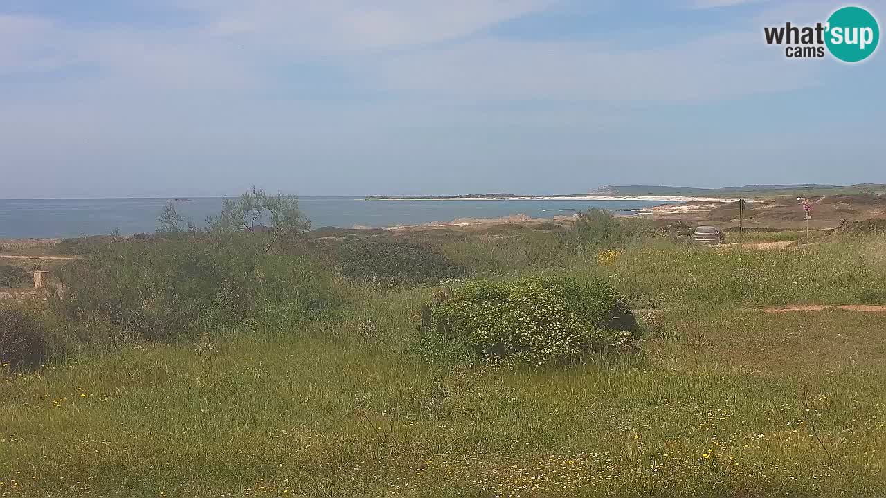 Mari Ermi beach | Is Arutas – Oristano