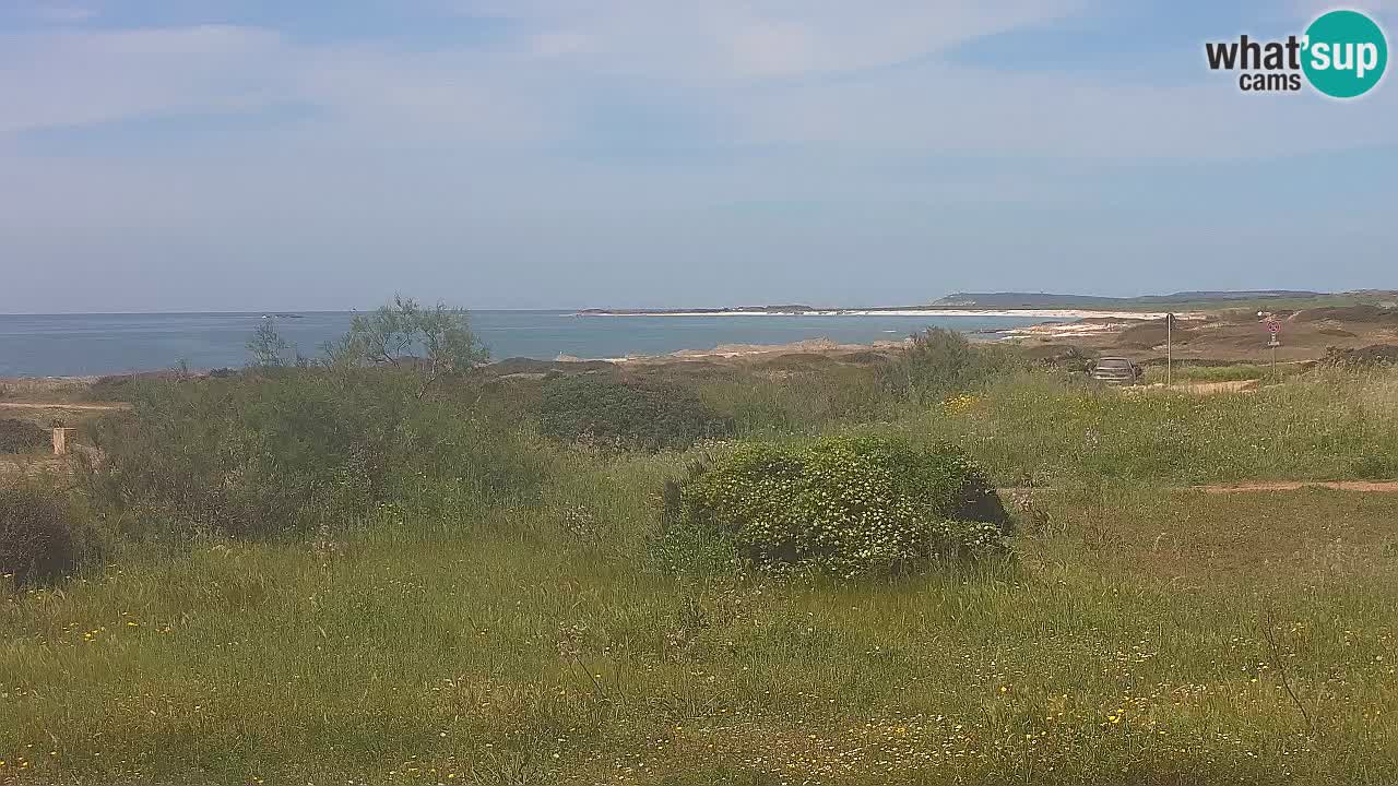Mari Ermi Strand | Is Arutas – Oristano