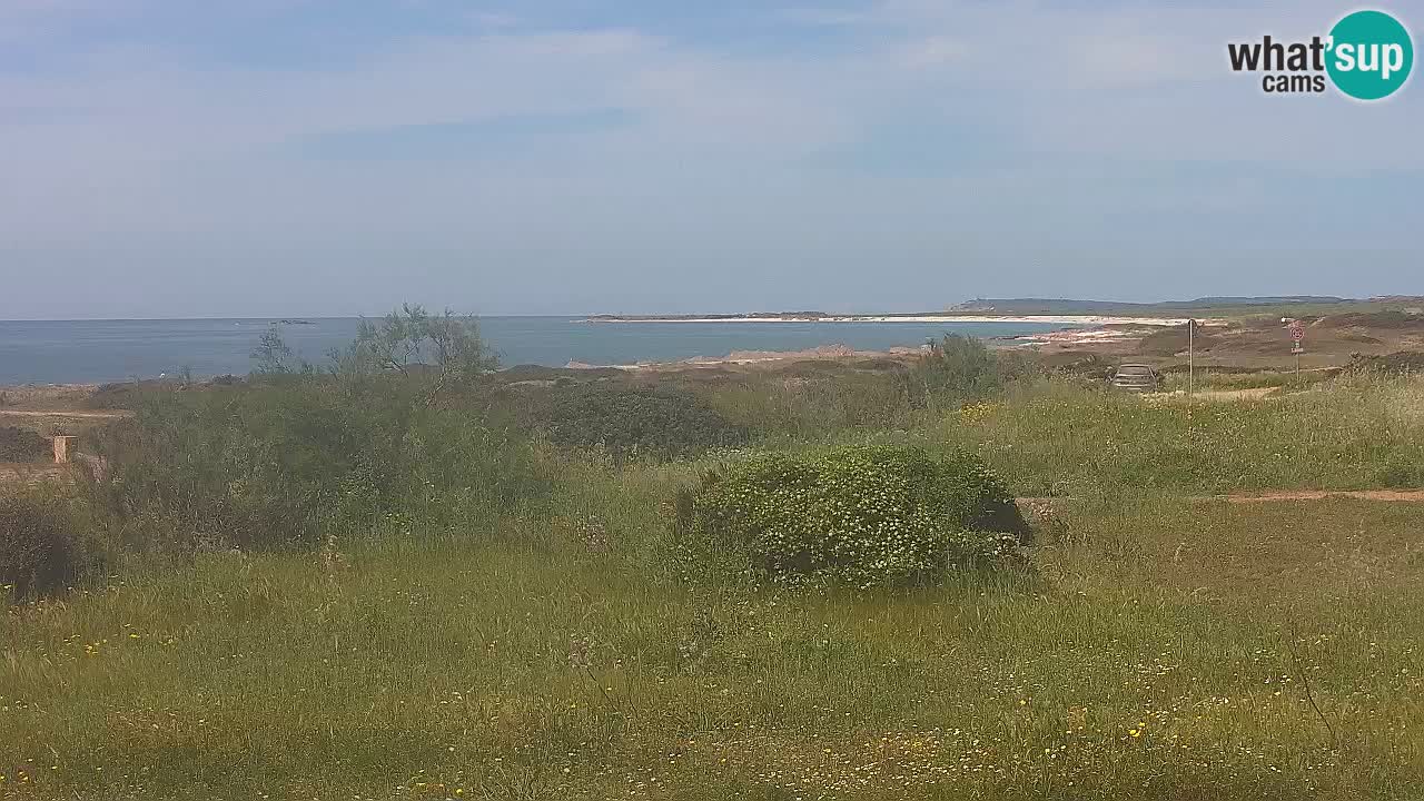 Playa Mari Ermi | Is Arutas – Oristano