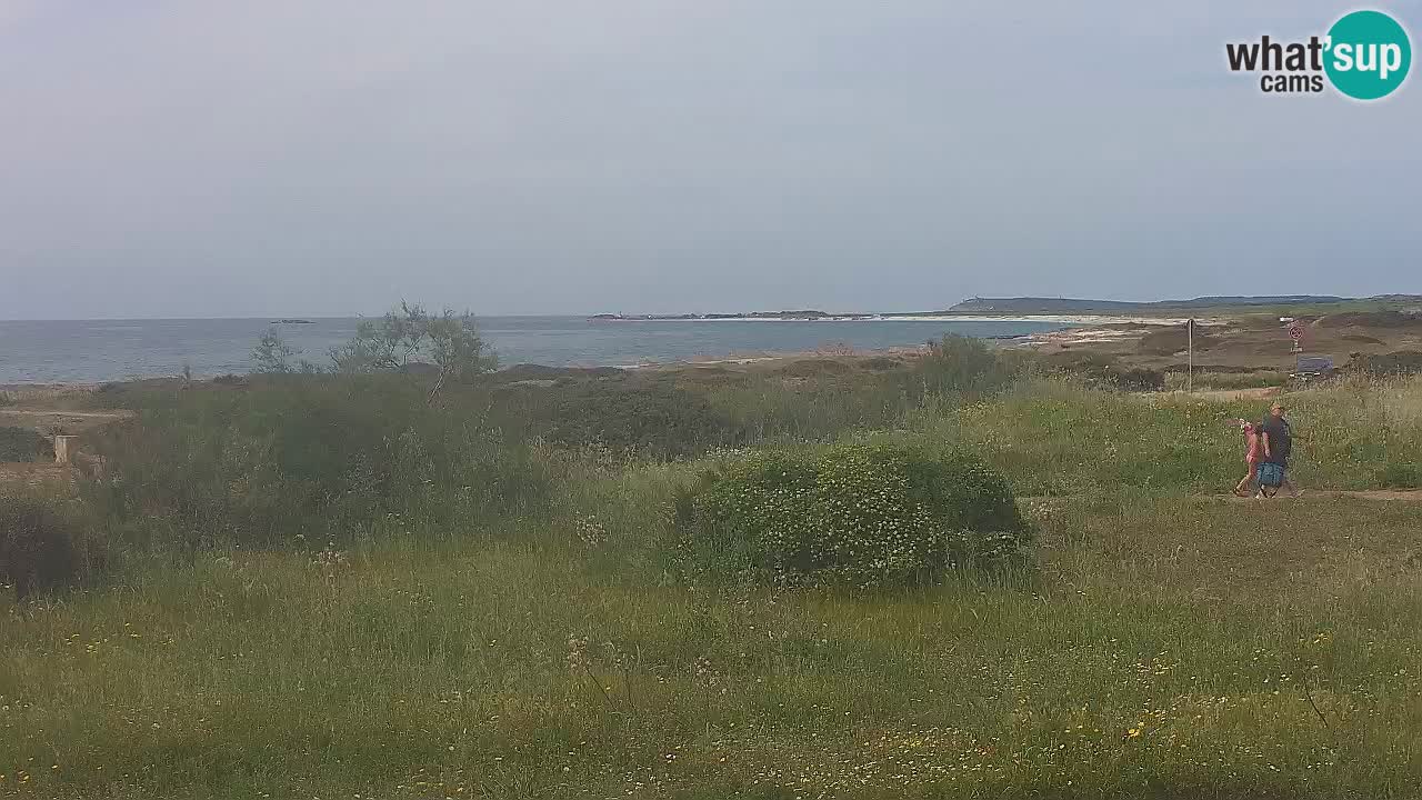 Mari Ermi Strand | Is Arutas – Oristano