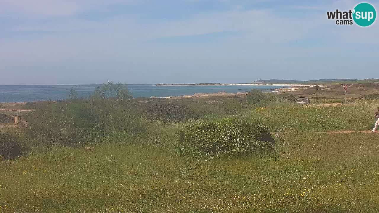 Spiaggia Mari Ermi | Is Arutas – Oristano