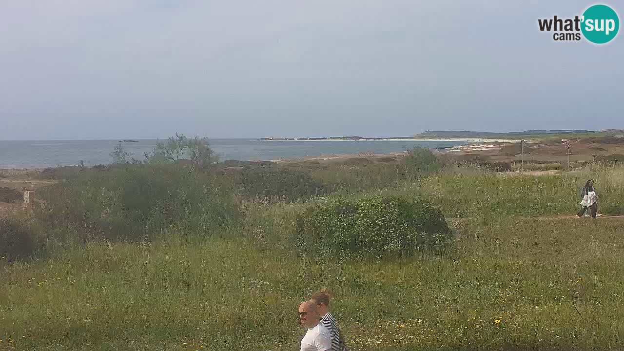 Mari Ermi beach | Is Arutas – Oristano