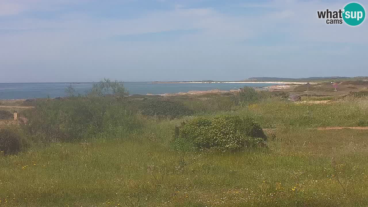 Playa Mari Ermi | Is Arutas – Oristano