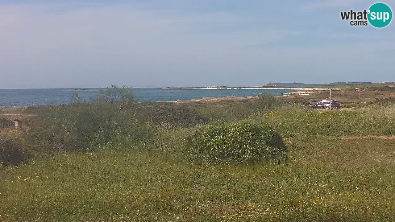 Playa Mari Ermi | Is Arutas – Oristano