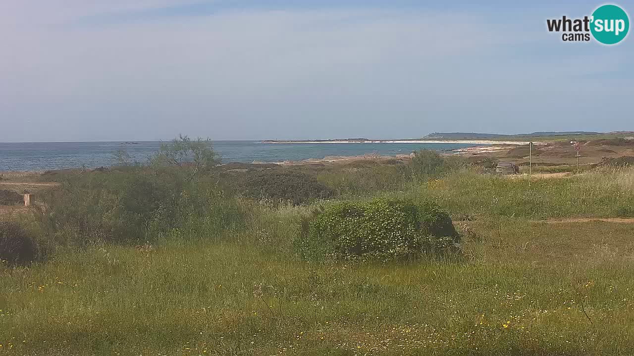 Playa Mari Ermi | Is Arutas – Oristano