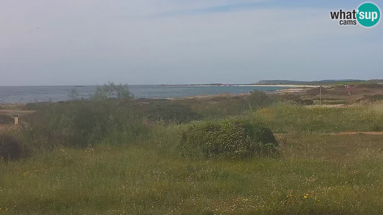 Plage Mari Ermi | Is Arutas – Oristano