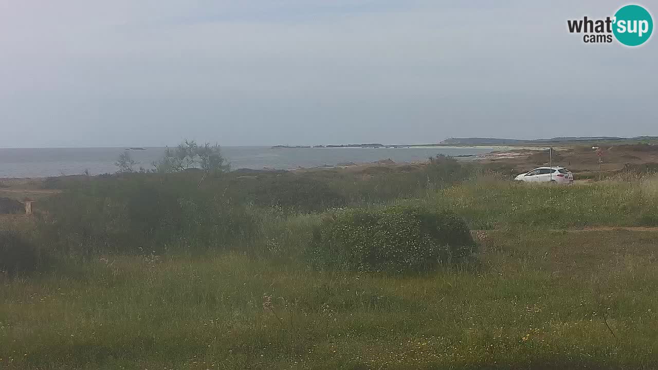 Mari Ermi Strand | Is Arutas – Oristano