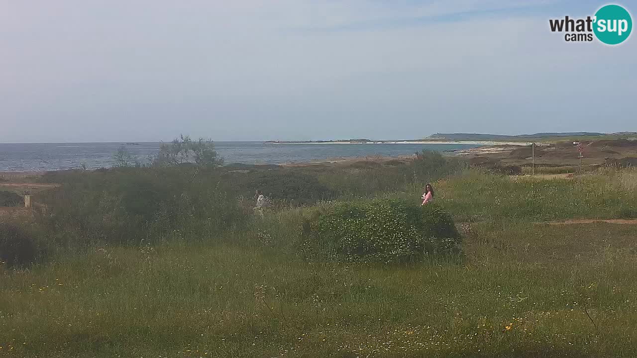 Playa Mari Ermi | Is Arutas – Oristano