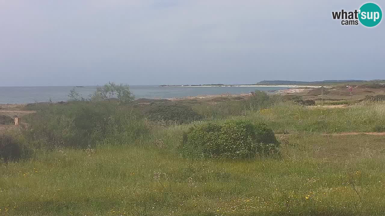 Plaža Mari Ermi | Is Arutas – Oristano