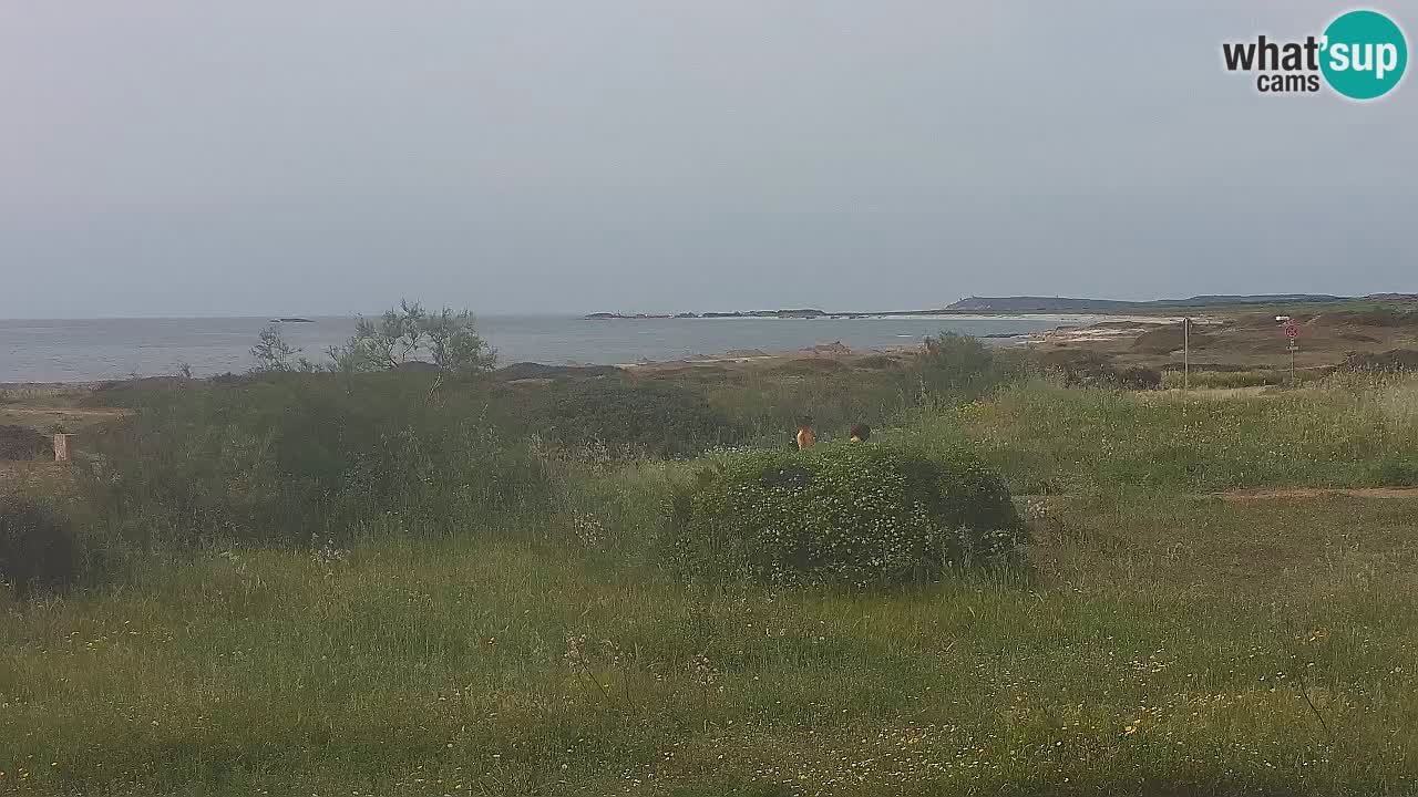 Plaža Mari Ermi | Is Arutas – Oristano