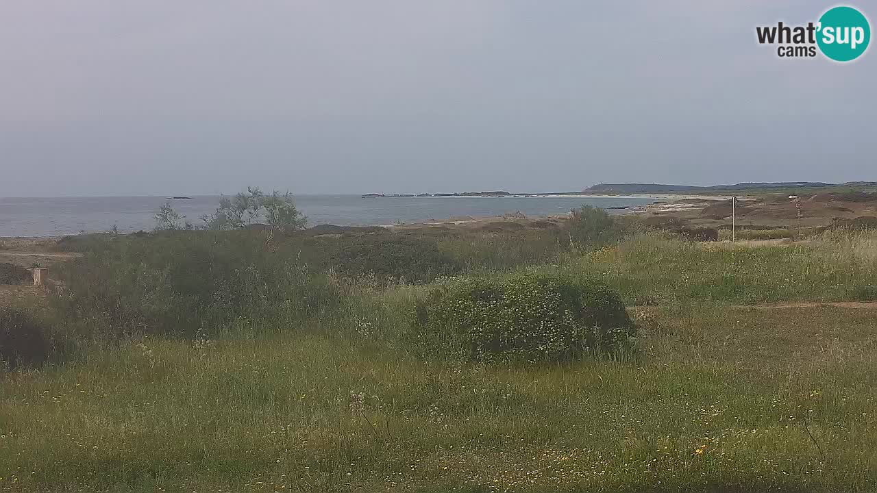 Plage Mari Ermi | Is Arutas – Oristano