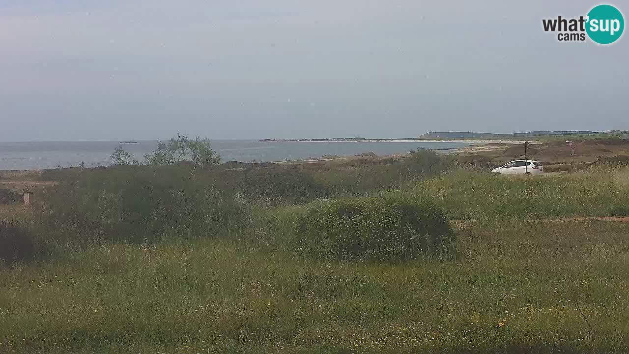 Mari Ermi beach | Is Arutas – Oristano