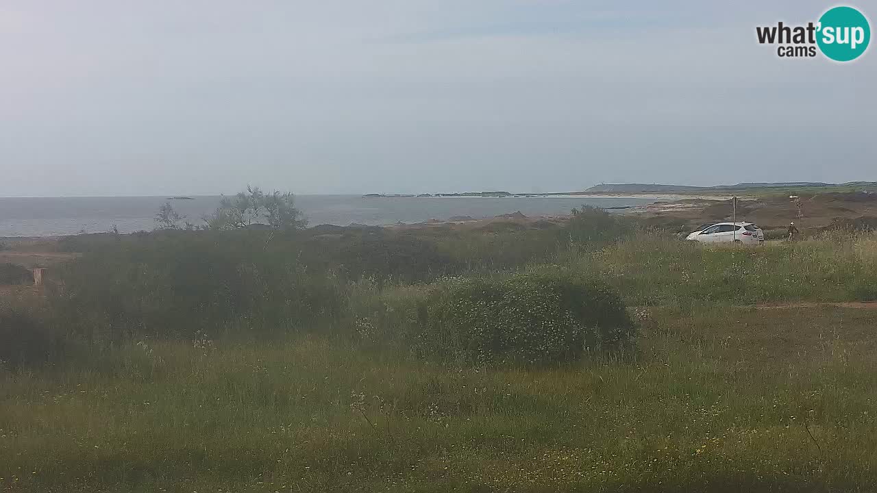 Plaža Mari Ermi | Is Arutas – Oristano