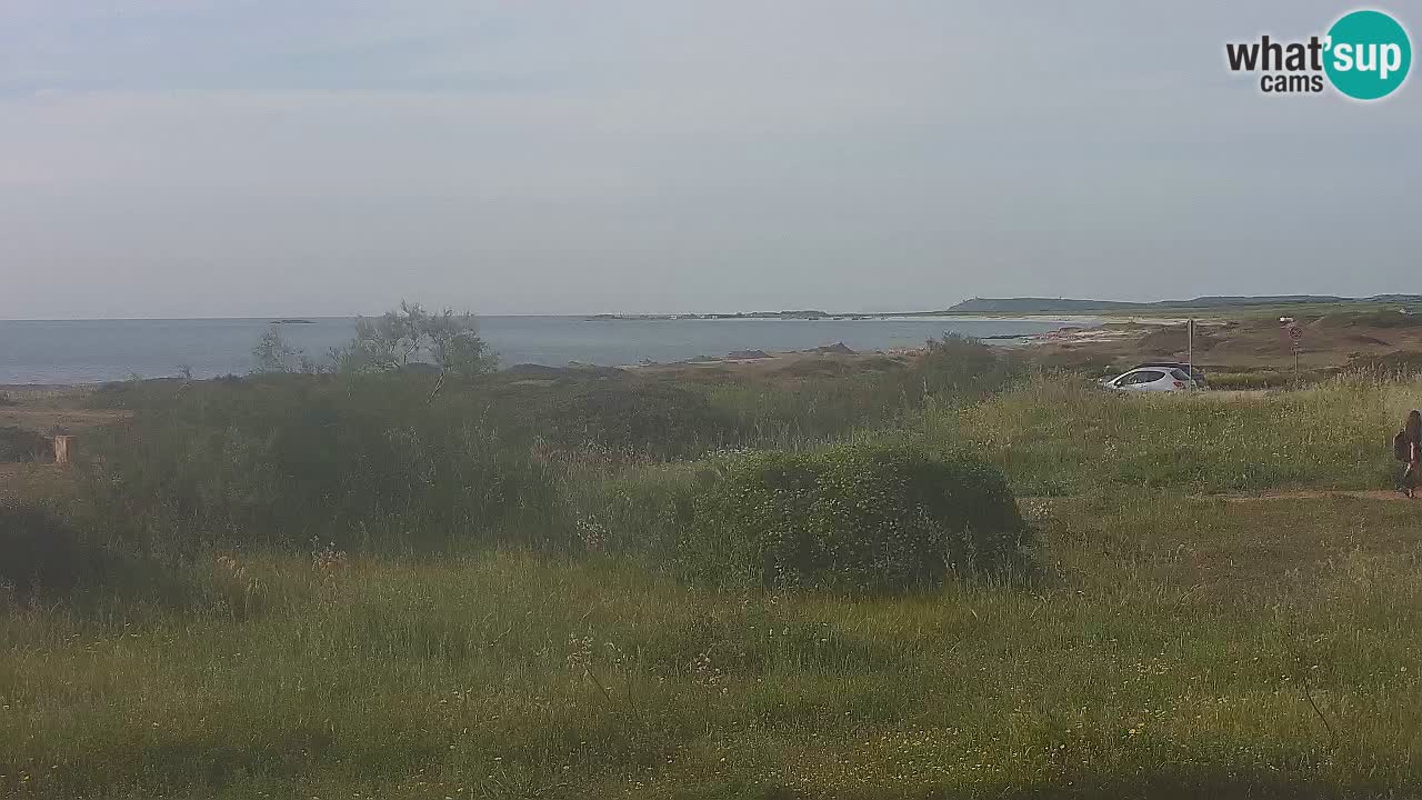 Mari Ermi Strand | Is Arutas – Oristano