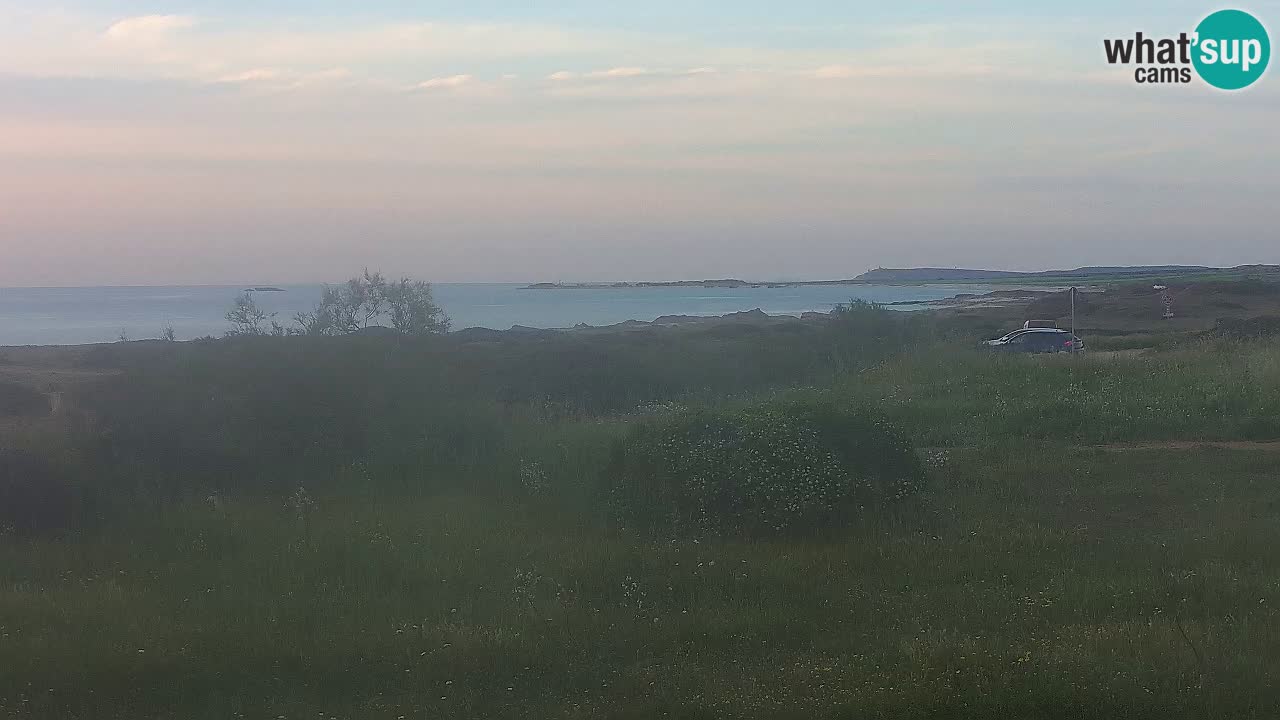 Playa Mari Ermi | Is Arutas – Oristano