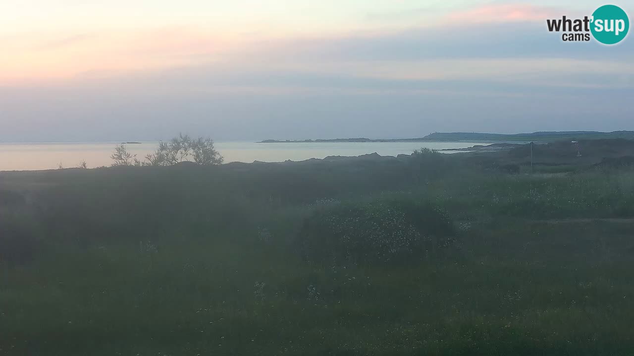 Plage Mari Ermi | Is Arutas – Oristano