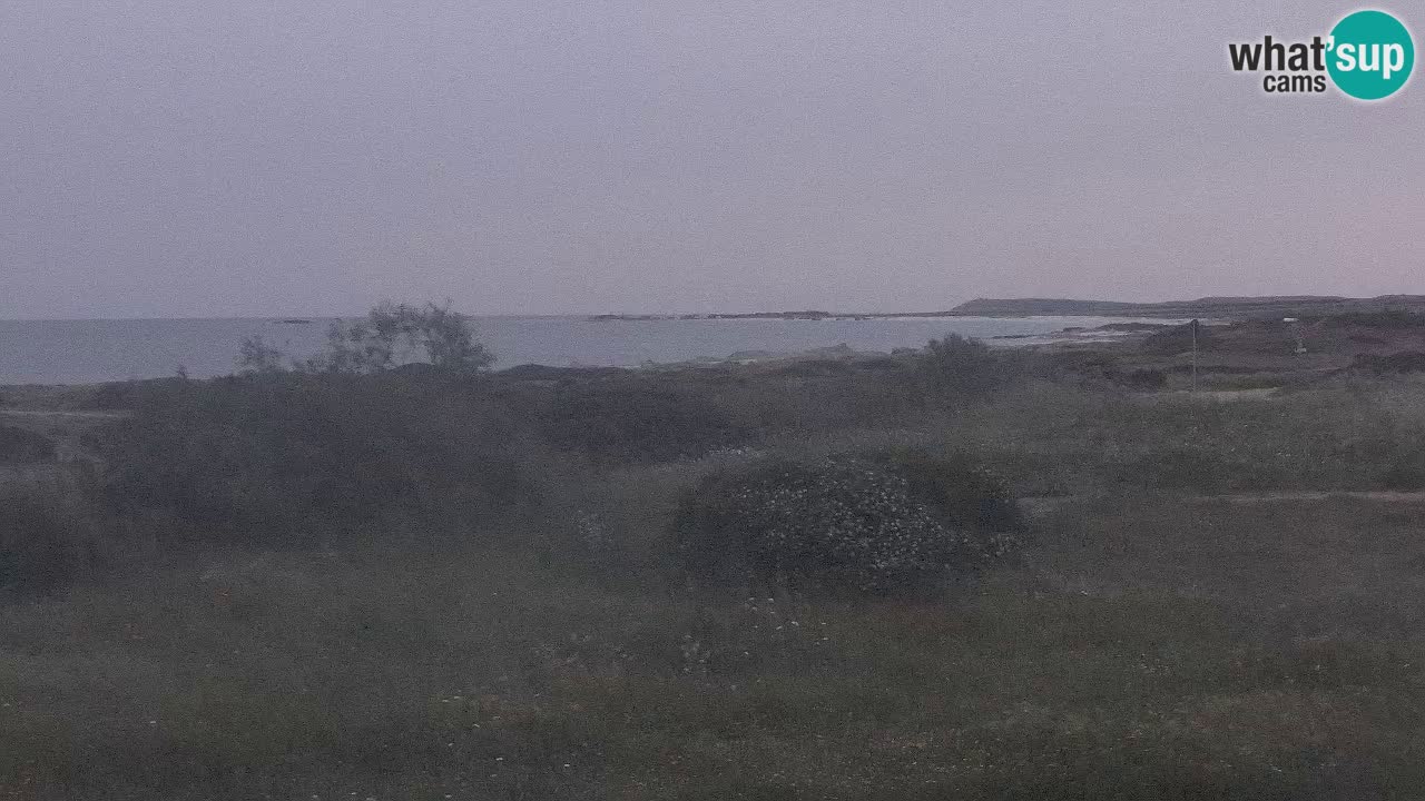 Plage Mari Ermi | Is Arutas – Oristano