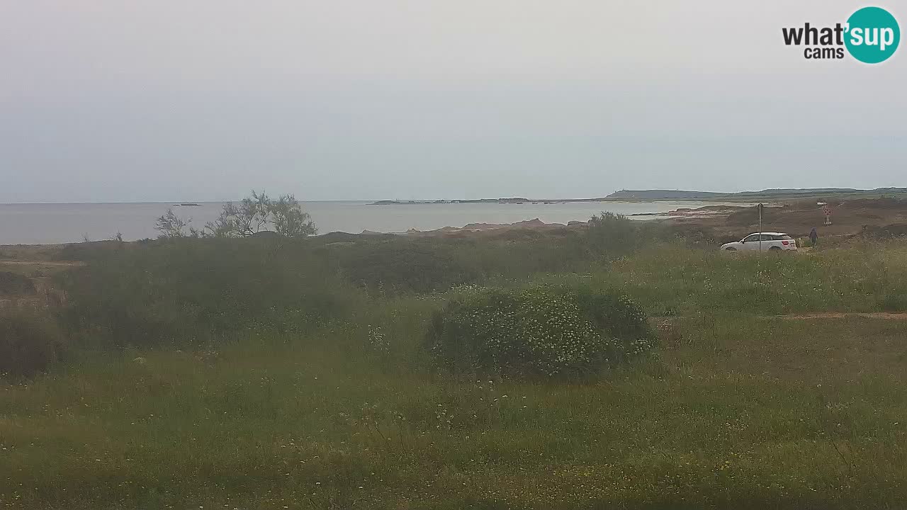 Plaža Mari Ermi | Is Arutas – Oristano