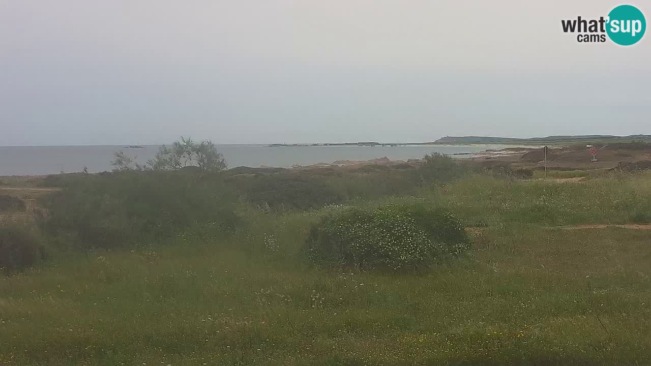 Mari Ermi Strand | Is Arutas – Oristano