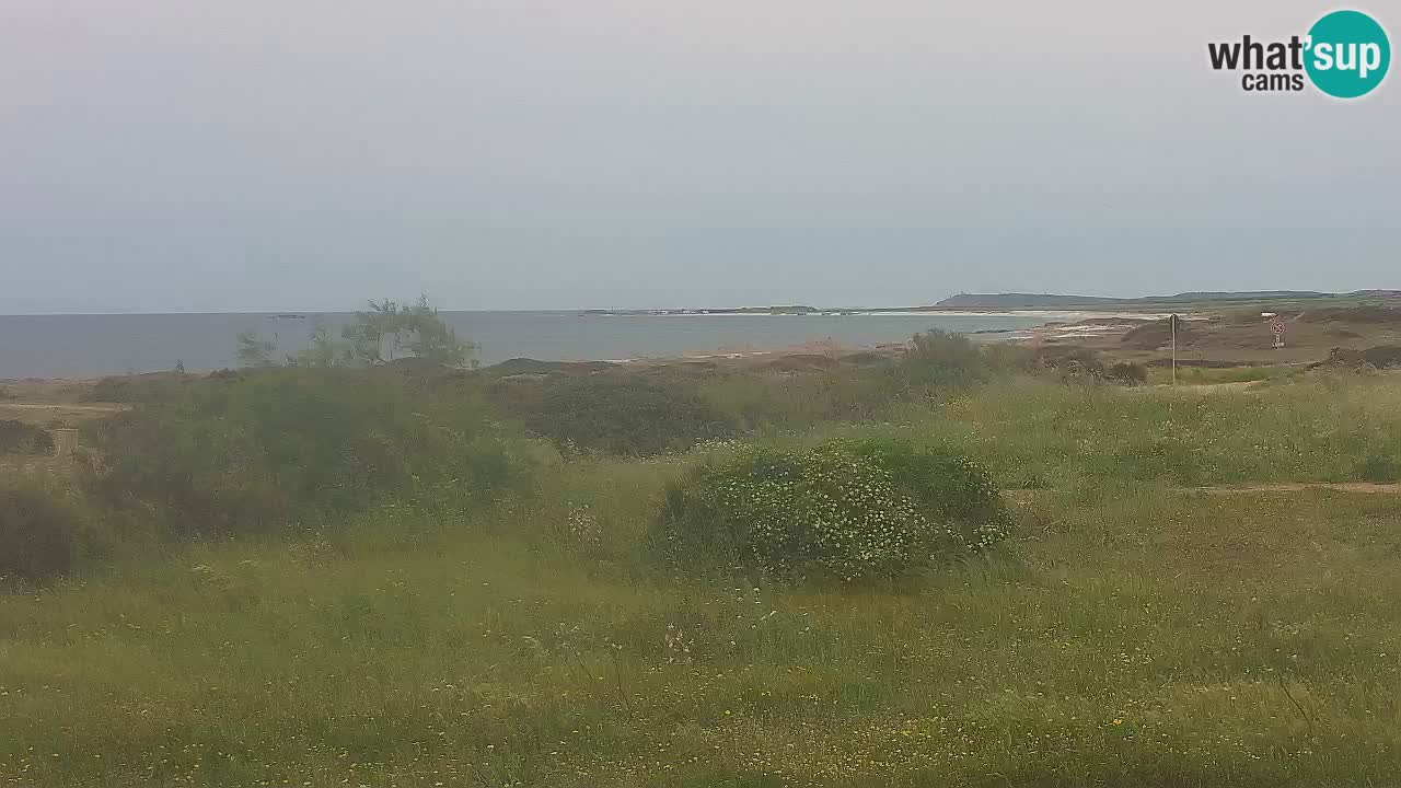 Mari Ermi beach | Is Arutas – Oristano