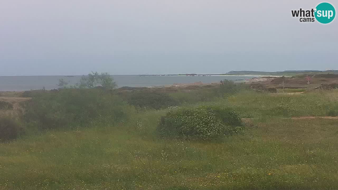 Mari Ermi Strand | Is Arutas – Oristano