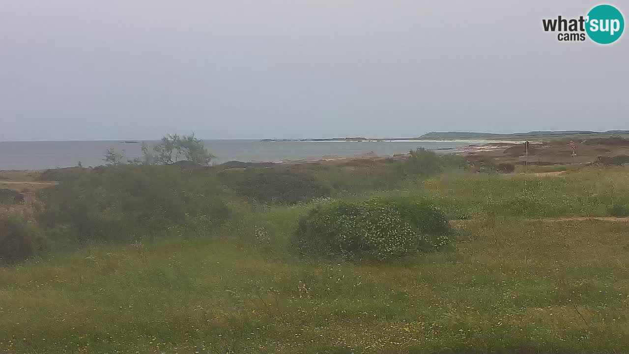 Mari Ermi beach | Is Arutas – Oristano