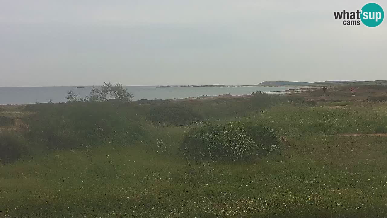 Plaža Mari Ermi | Is Arutas – Oristano