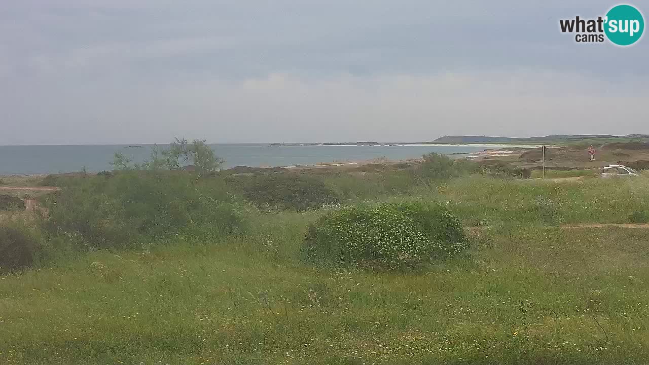 Playa Mari Ermi | Is Arutas – Oristano