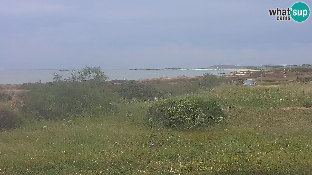 Plaža Mari Ermi | Is Arutas – Oristano