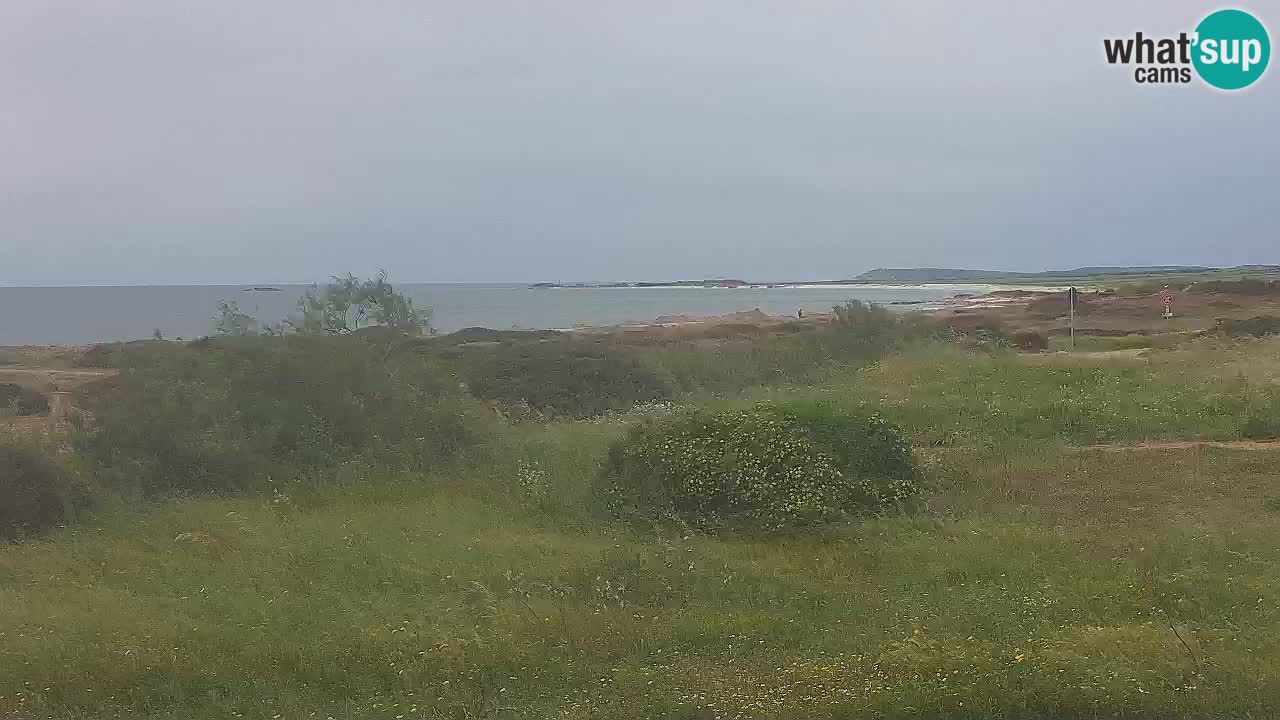 Mari Ermi Strand | Is Arutas – Oristano