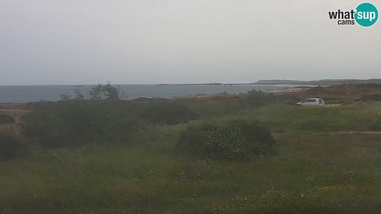 Plaža Mari Ermi | Is Arutas – Oristano