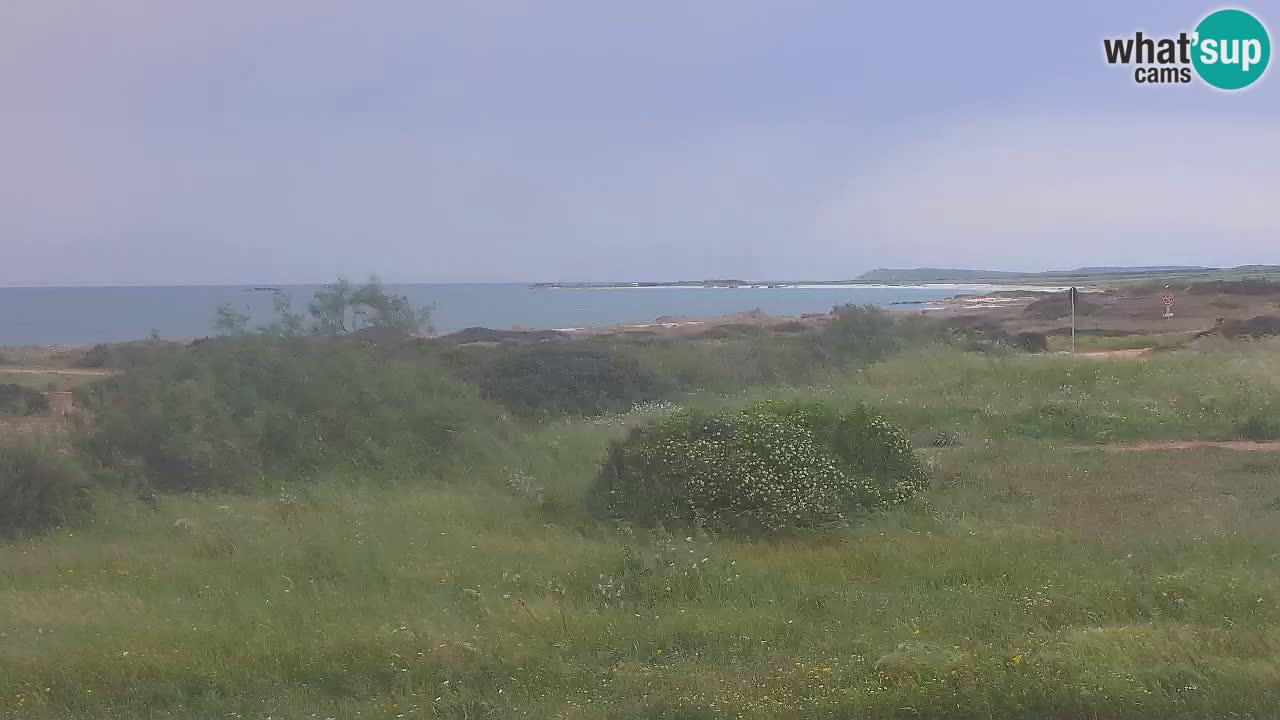 Mari Ermi beach | Is Arutas – Oristano