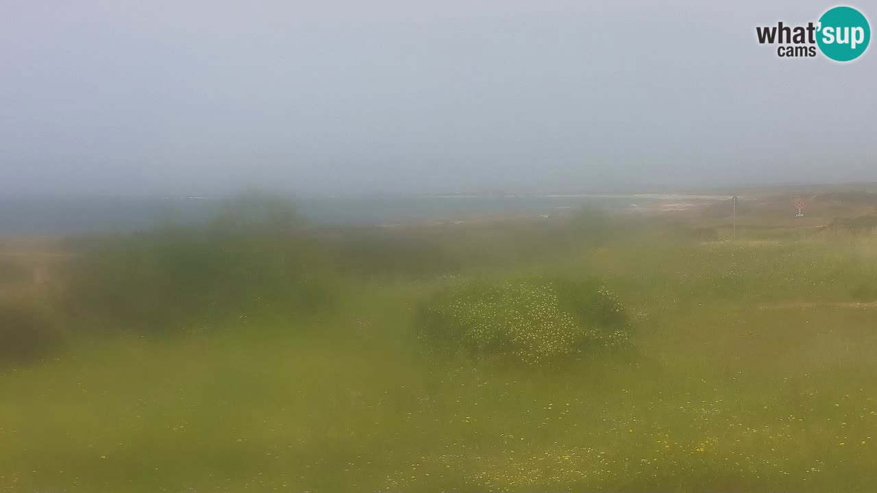 Playa Mari Ermi | Is Arutas – Oristano