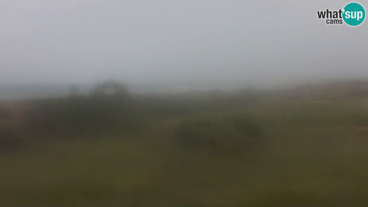 Plaža Mari Ermi | Is Arutas – Oristano