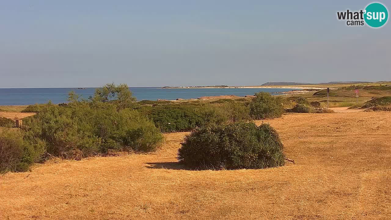 Spiaggia Mari Ermi | Is Arutas – Oristano