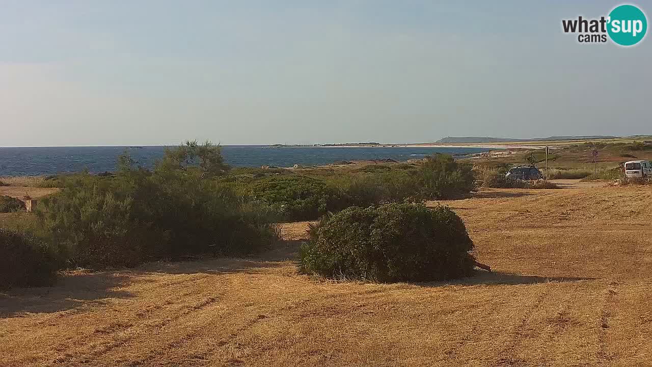 Playa Mari Ermi | Is Arutas – Oristano