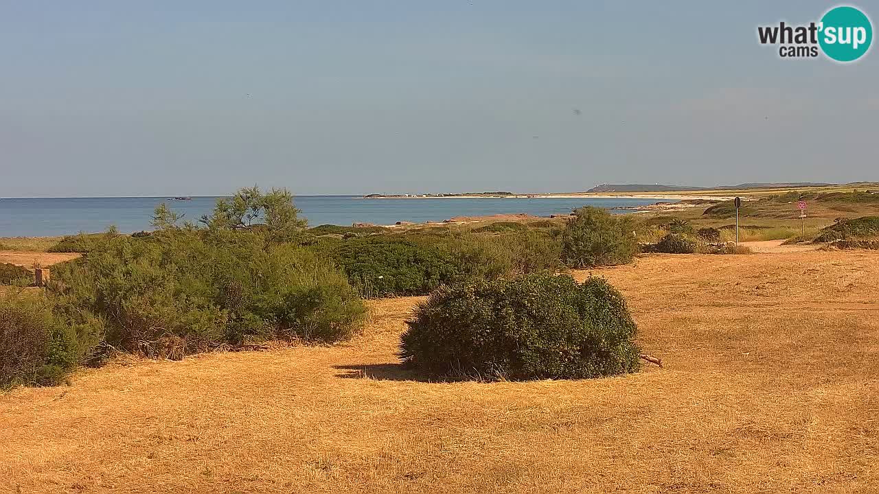 Plaža Mari Ermi | Is Arutas – Oristano