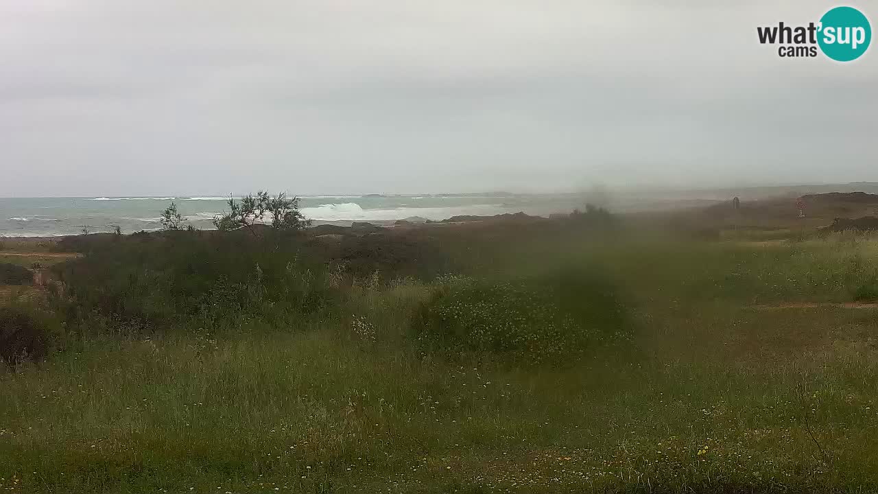 Mari Ermi Strand | Is Arutas – Oristano