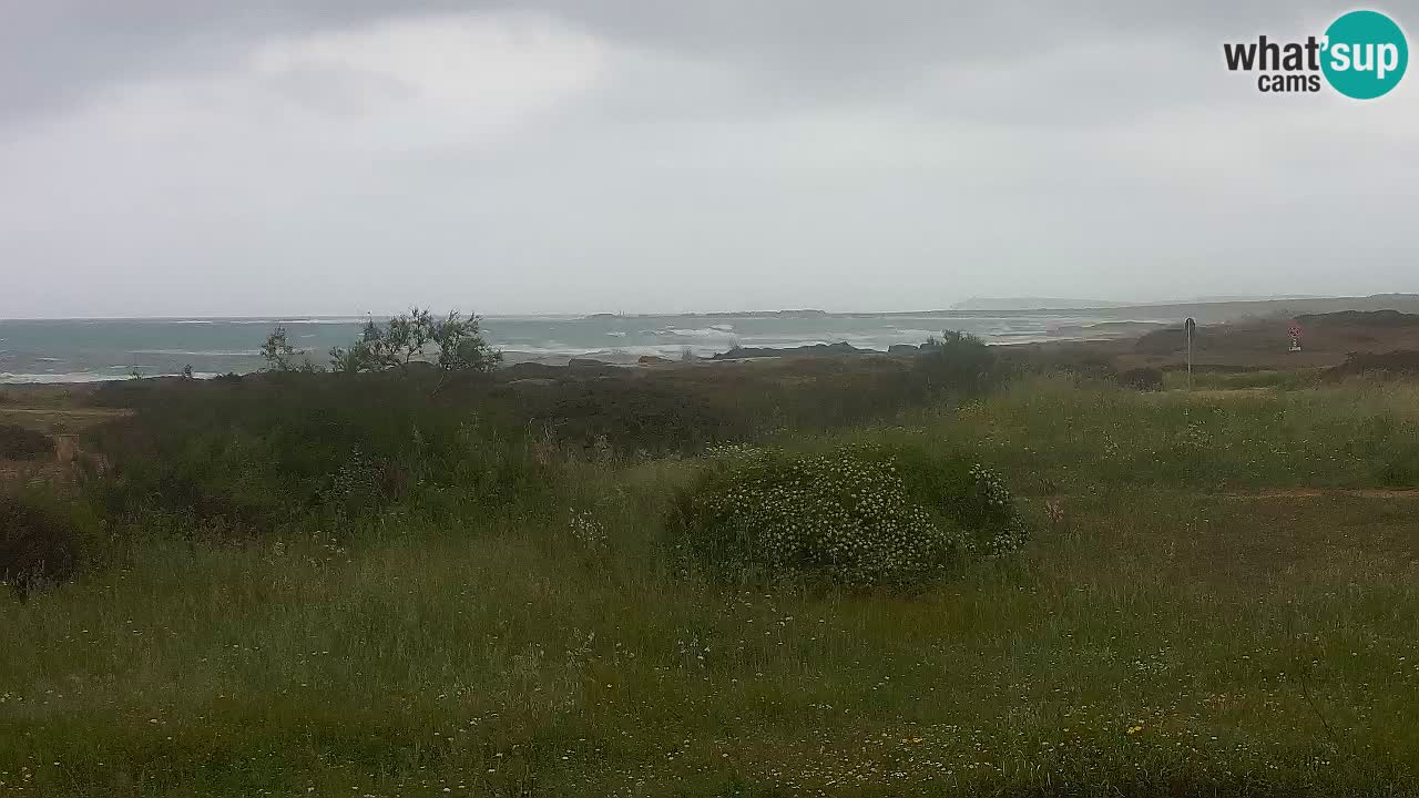Playa Mari Ermi | Is Arutas – Oristano