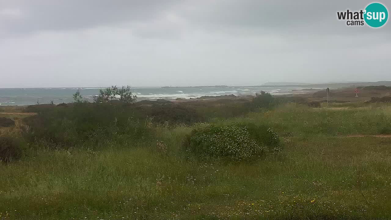 Plage Mari Ermi | Is Arutas – Oristano